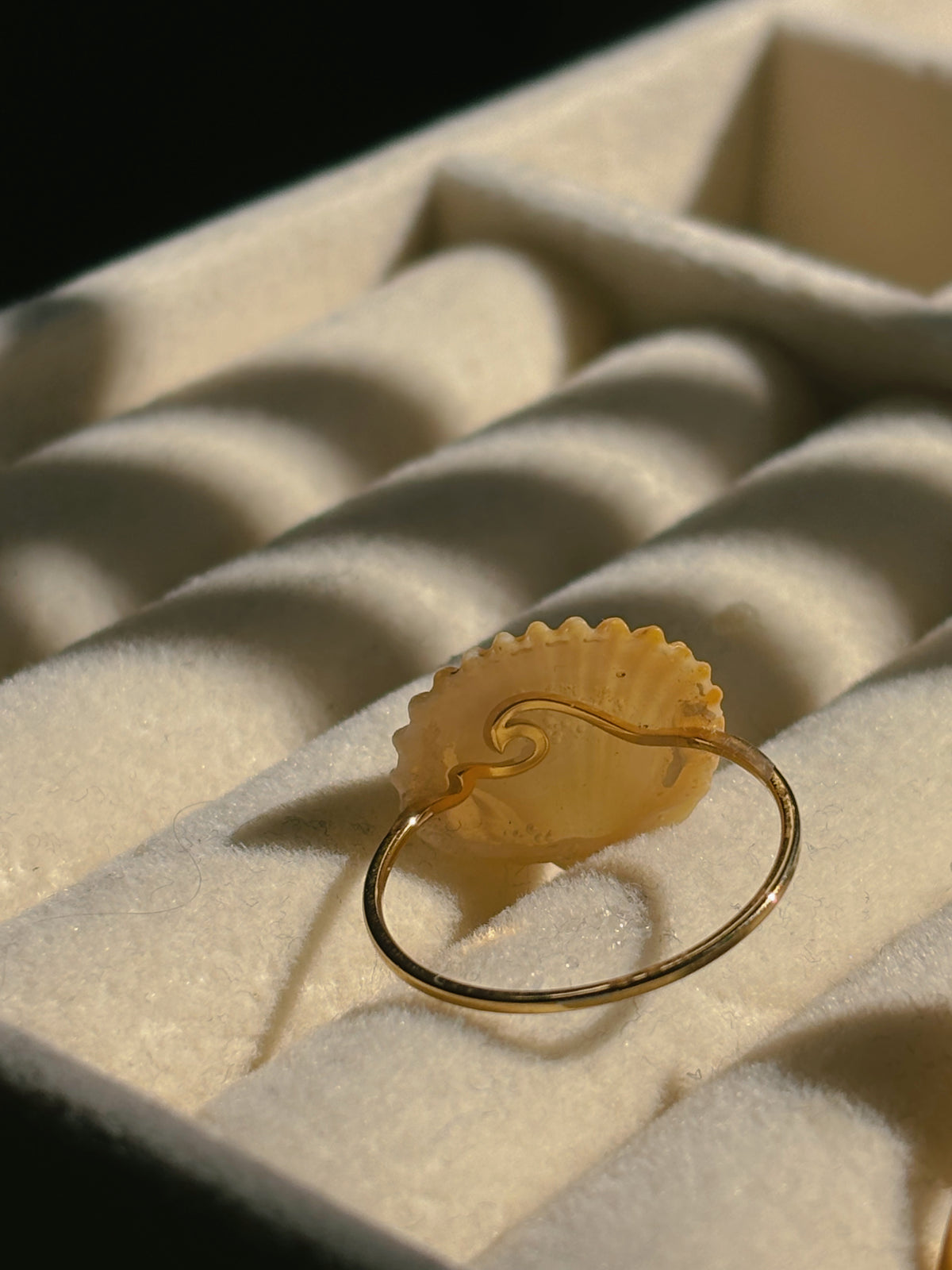 Natural sea shell rings