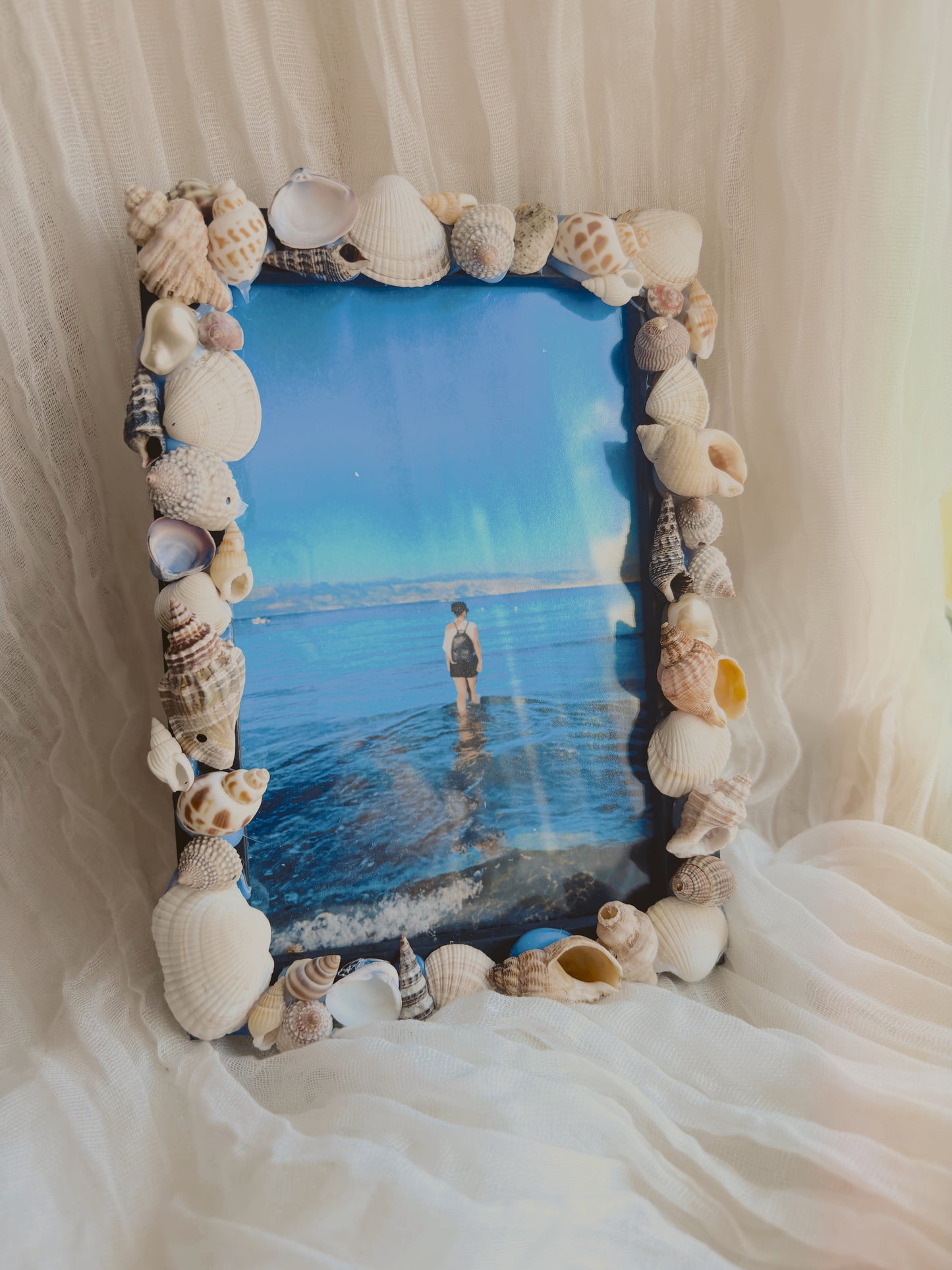 Upcycled shell frame 6 x 4