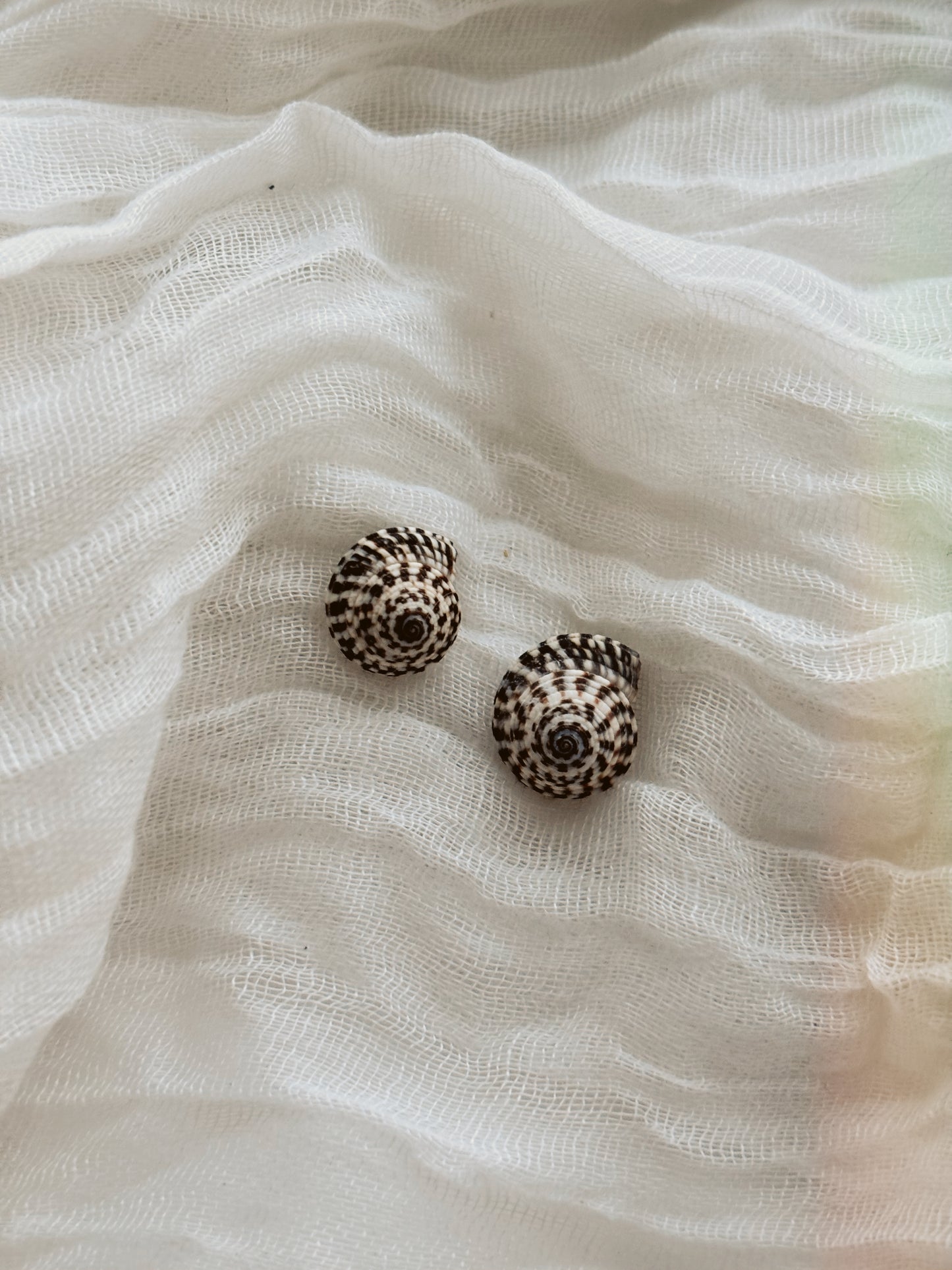 18k Gold natural shell ring tarnish free handmade