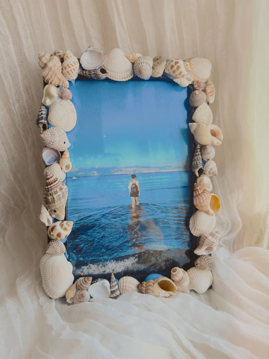 Upcycled shell frame 6 x 4