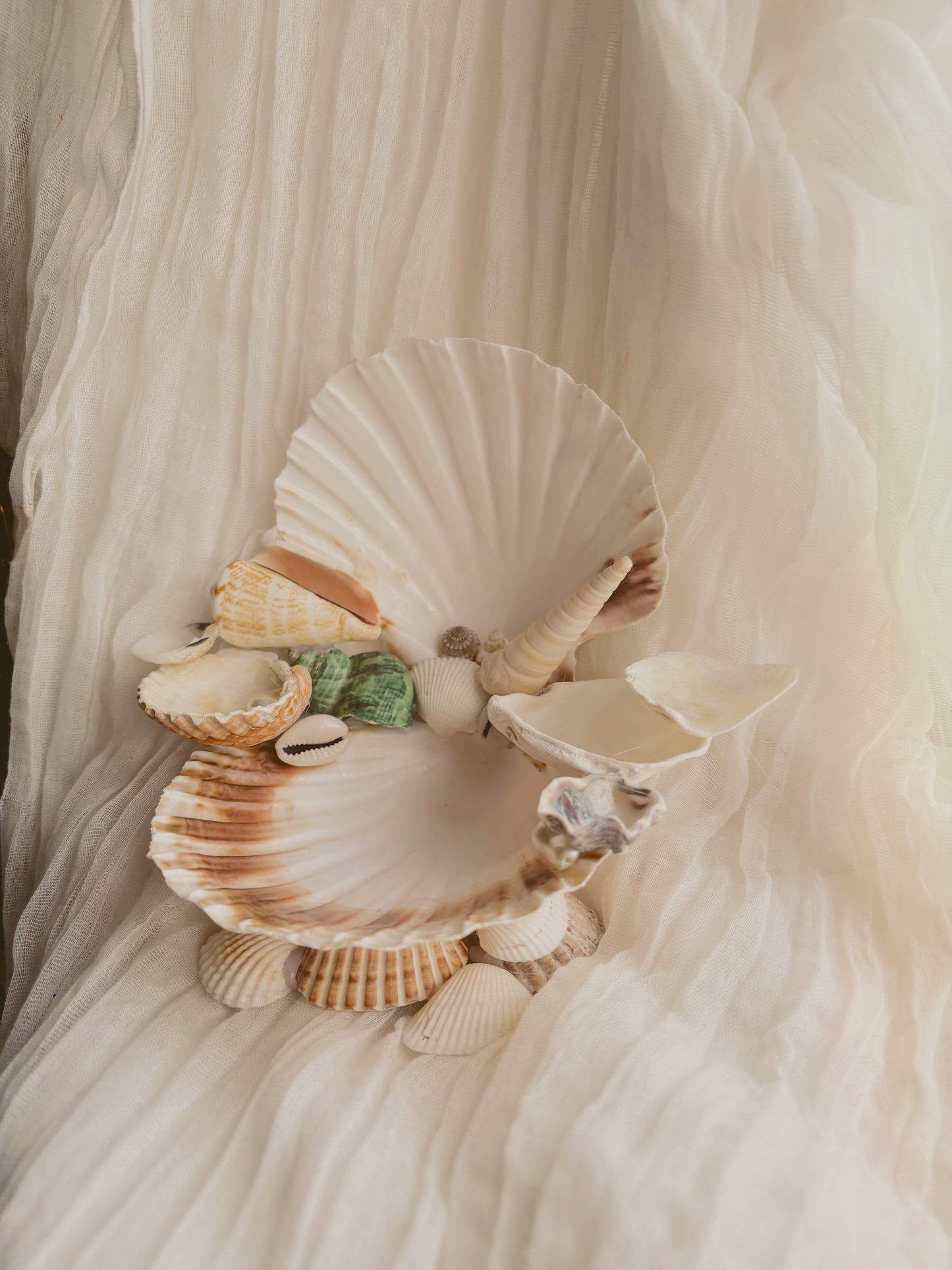 Decorative handmade shell jewellery stand