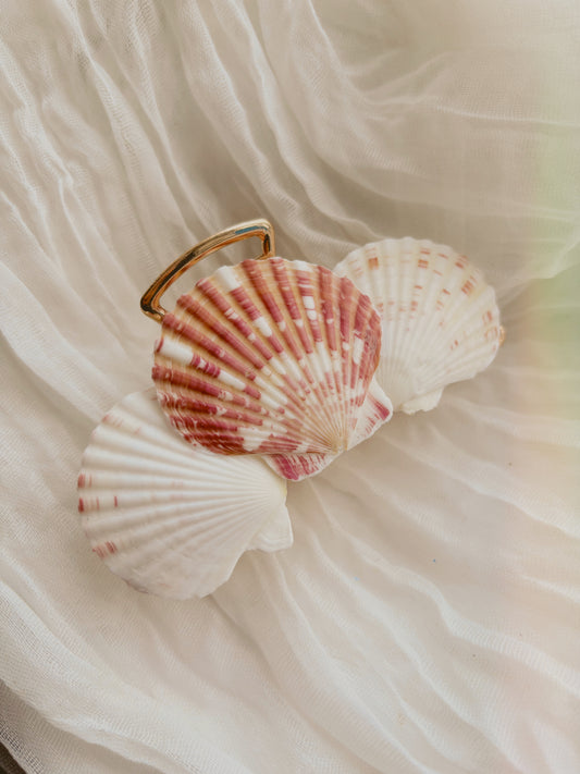 Beach holiday claw clip
