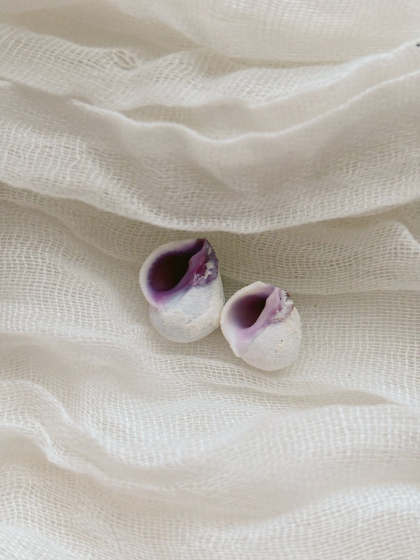 18k Gold natural shell ring tarnish free handmade
