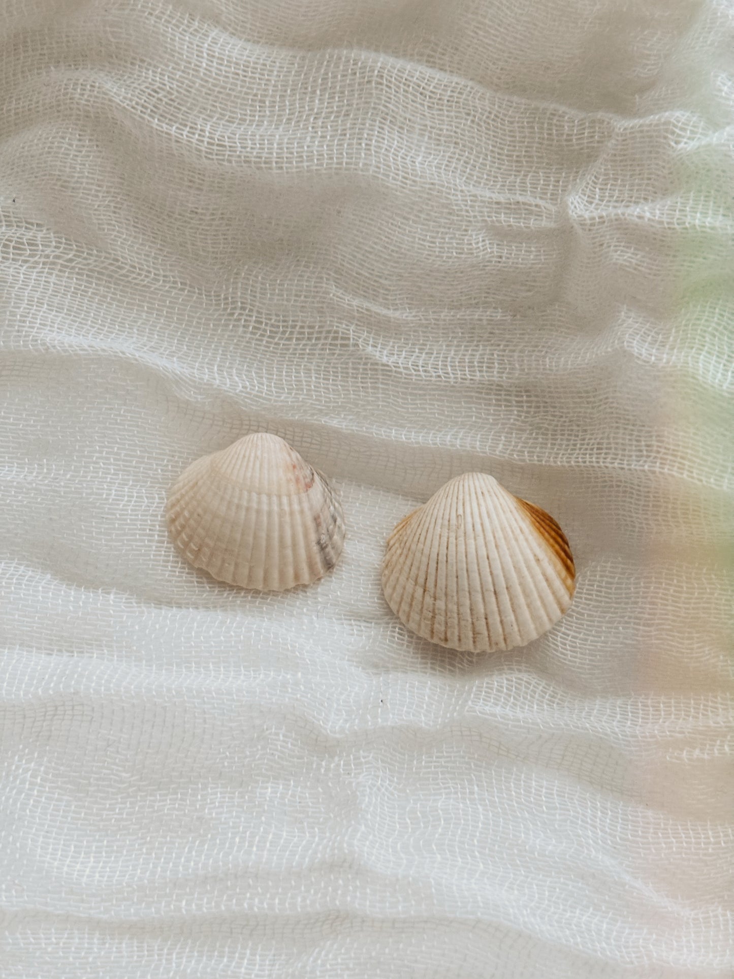 18k Gold natural shell ring tarnish free handmade