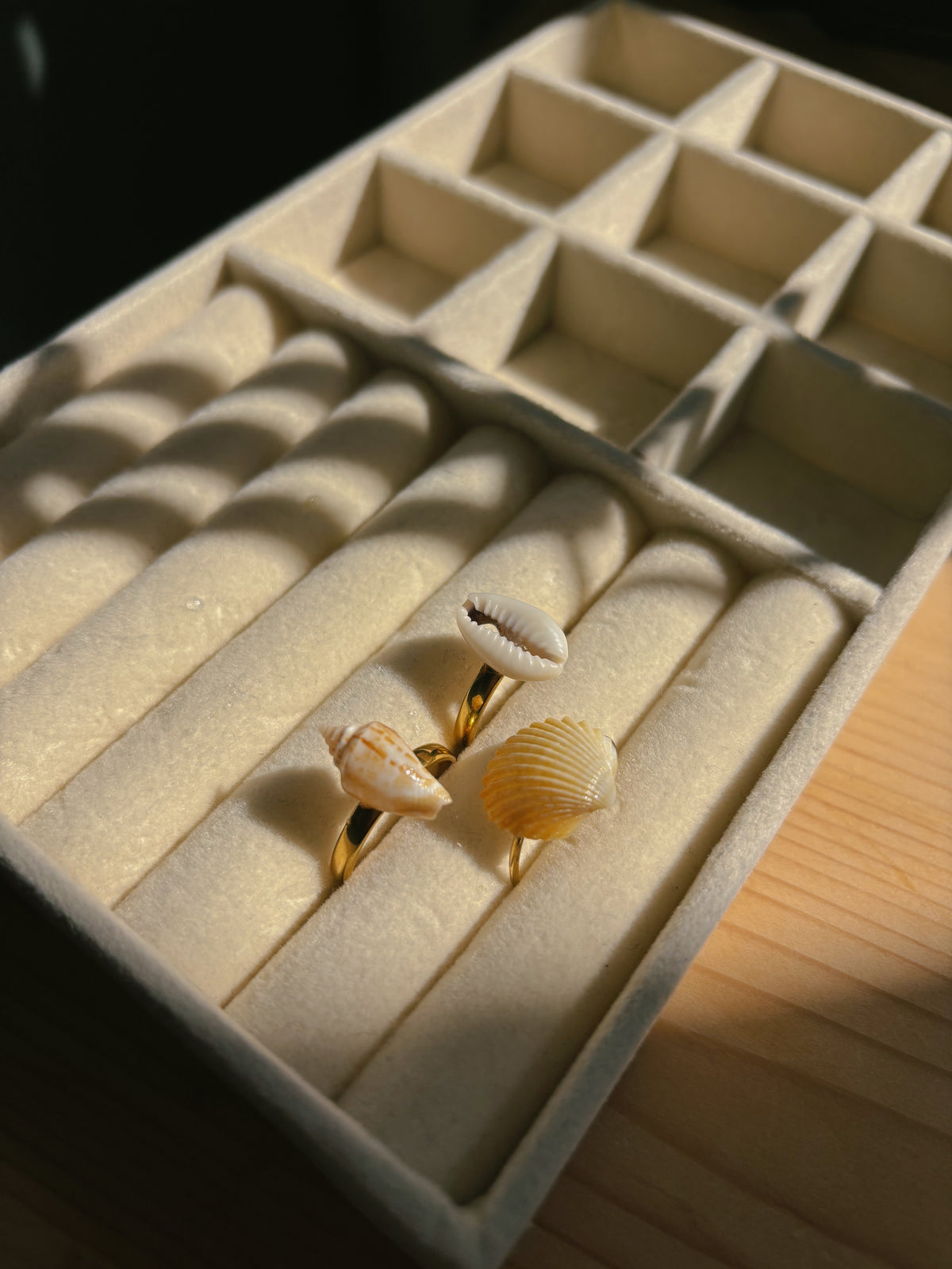 Natural sea shell rings