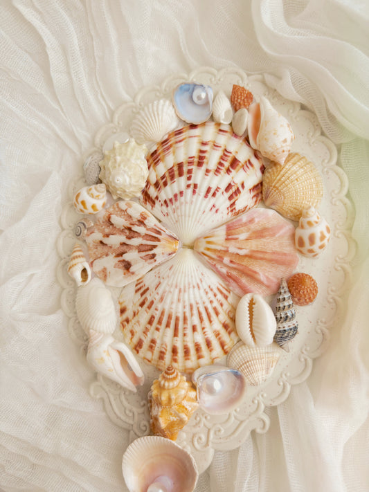 hand held mirror - hand crafted design with shells