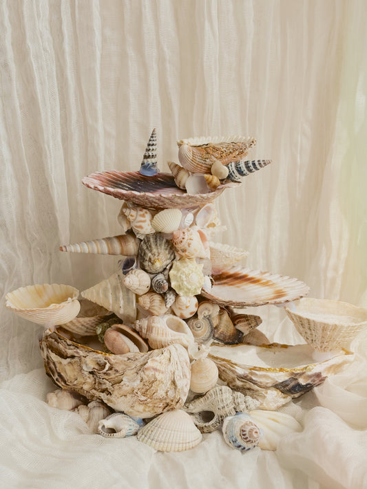 Decorative handmade shell jewellery stand