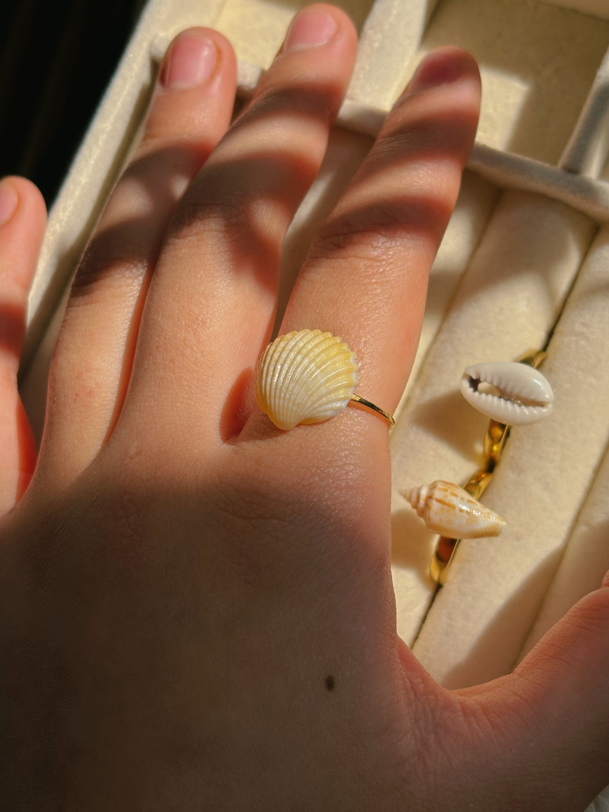 Natural sea shell rings