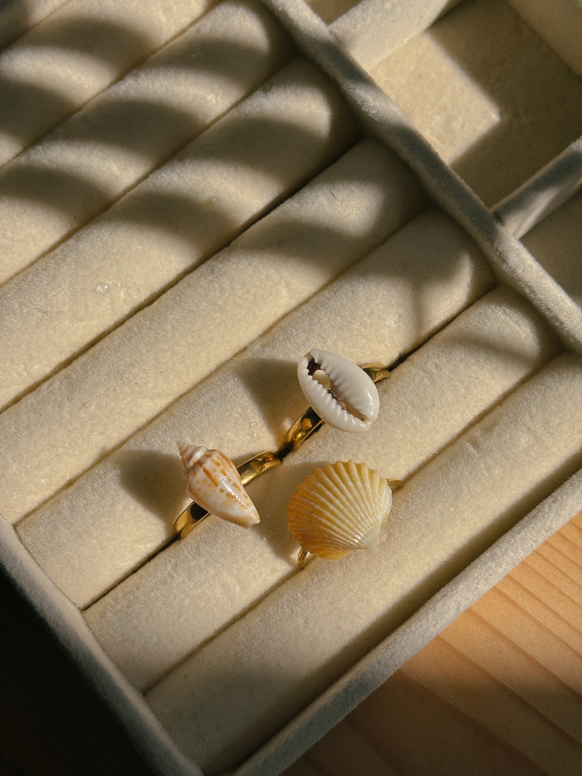 Natural sea shell rings