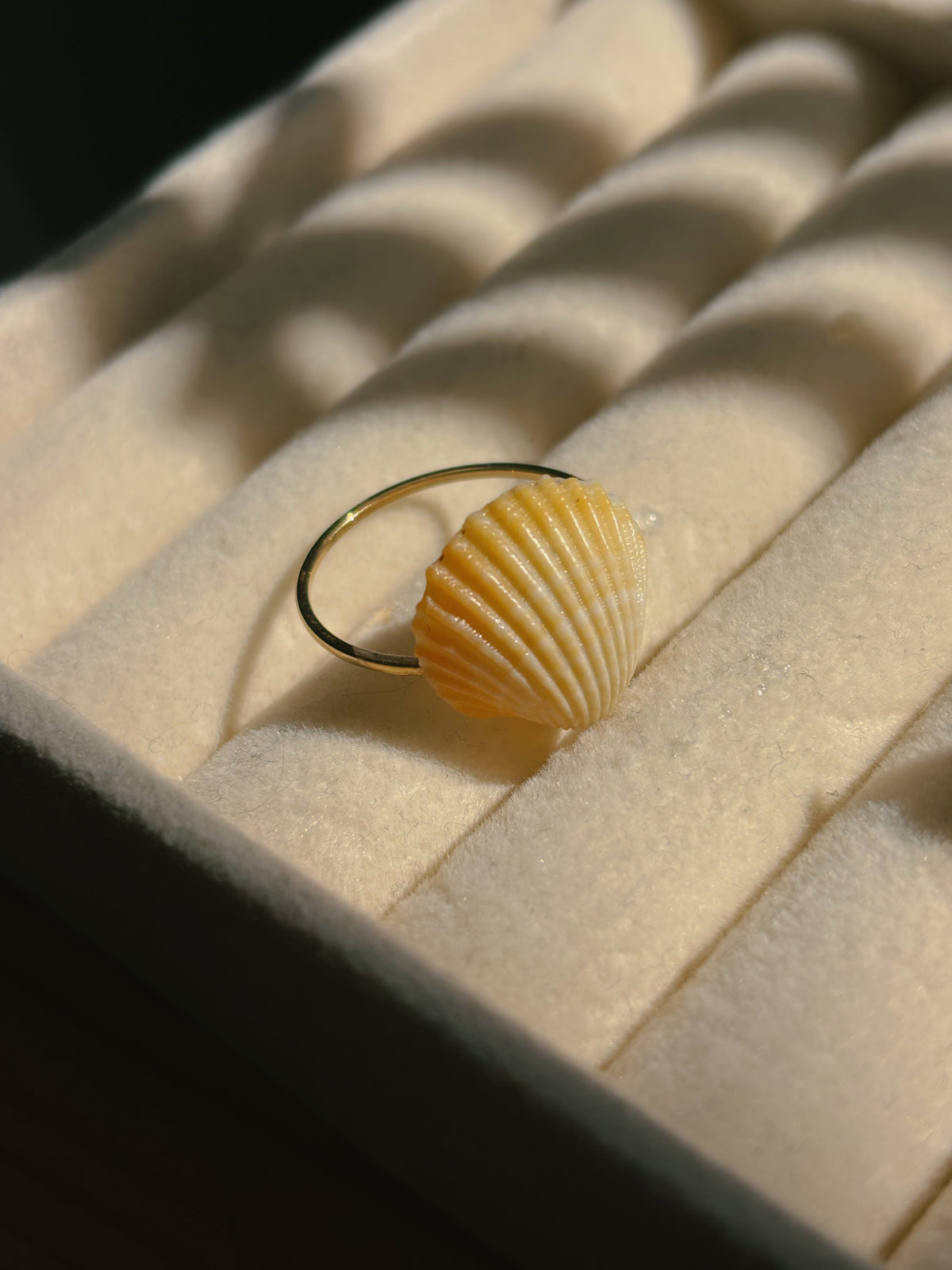 Natural sea shell rings