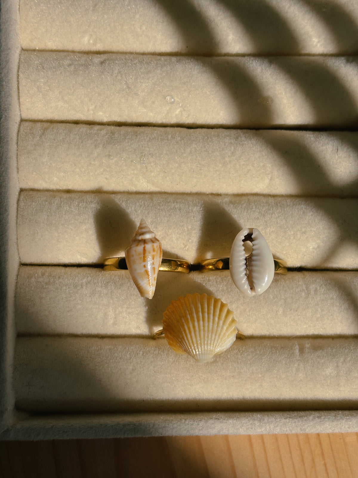 Natural sea shell rings