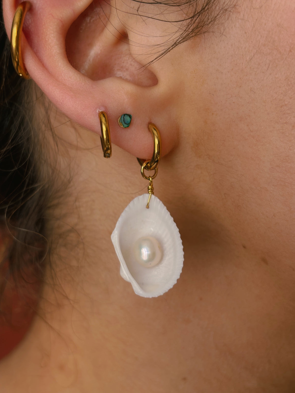 Natural classic shell and pearl earrings