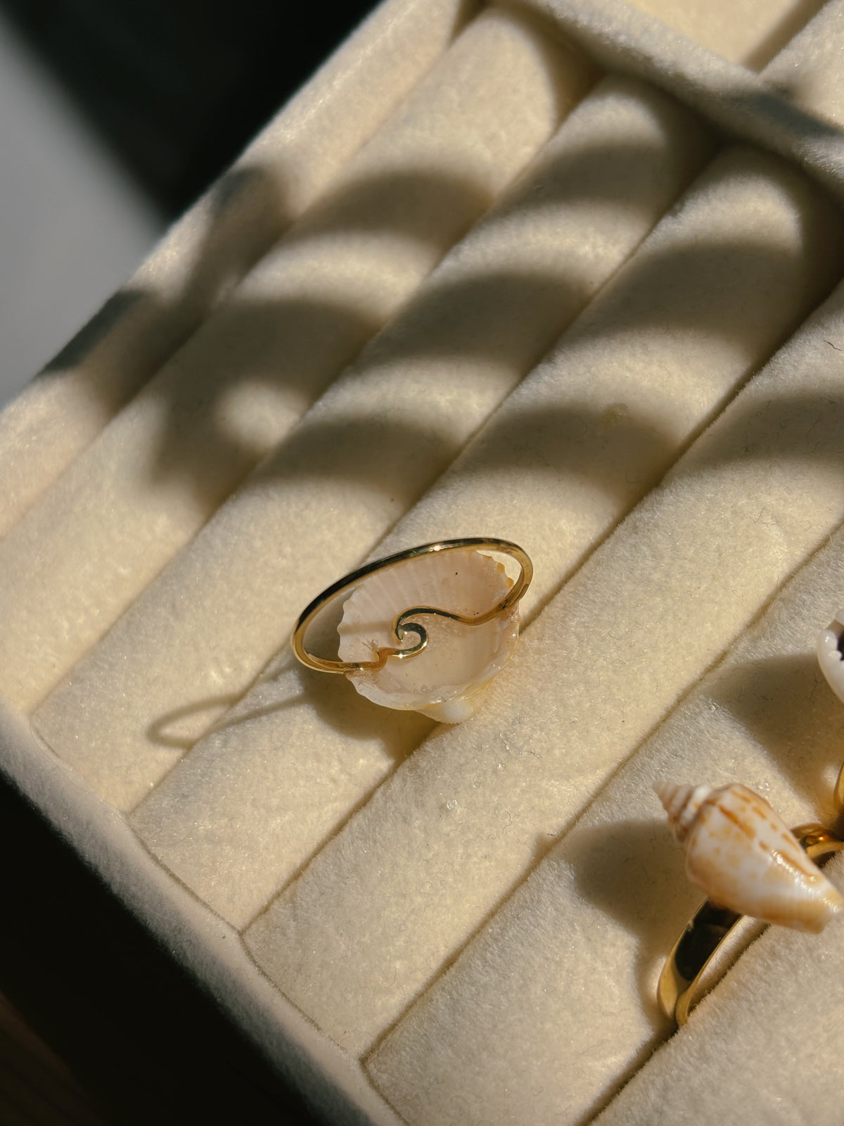 Natural sea shell rings