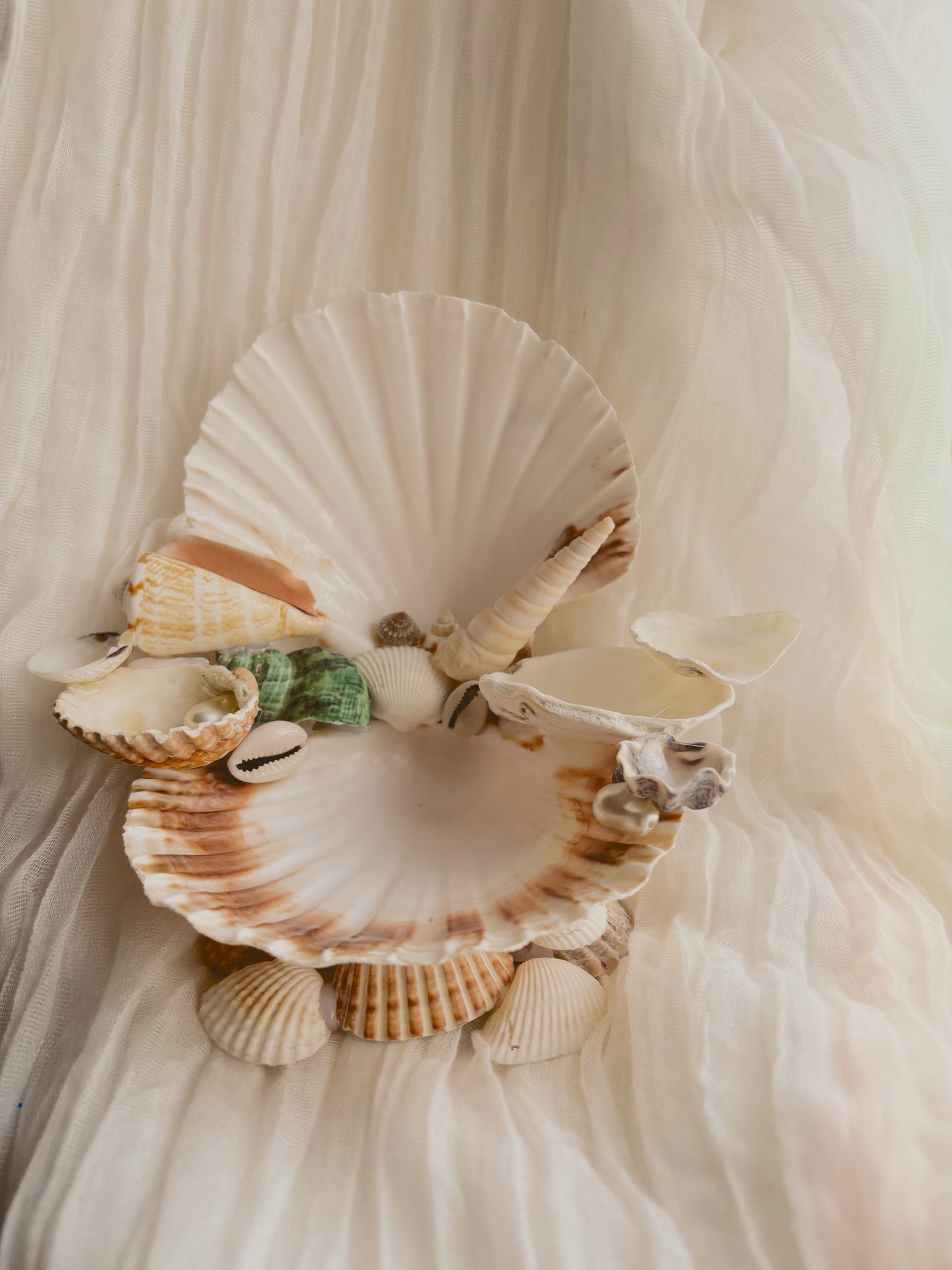 Decorative handmade shell jewellery stand