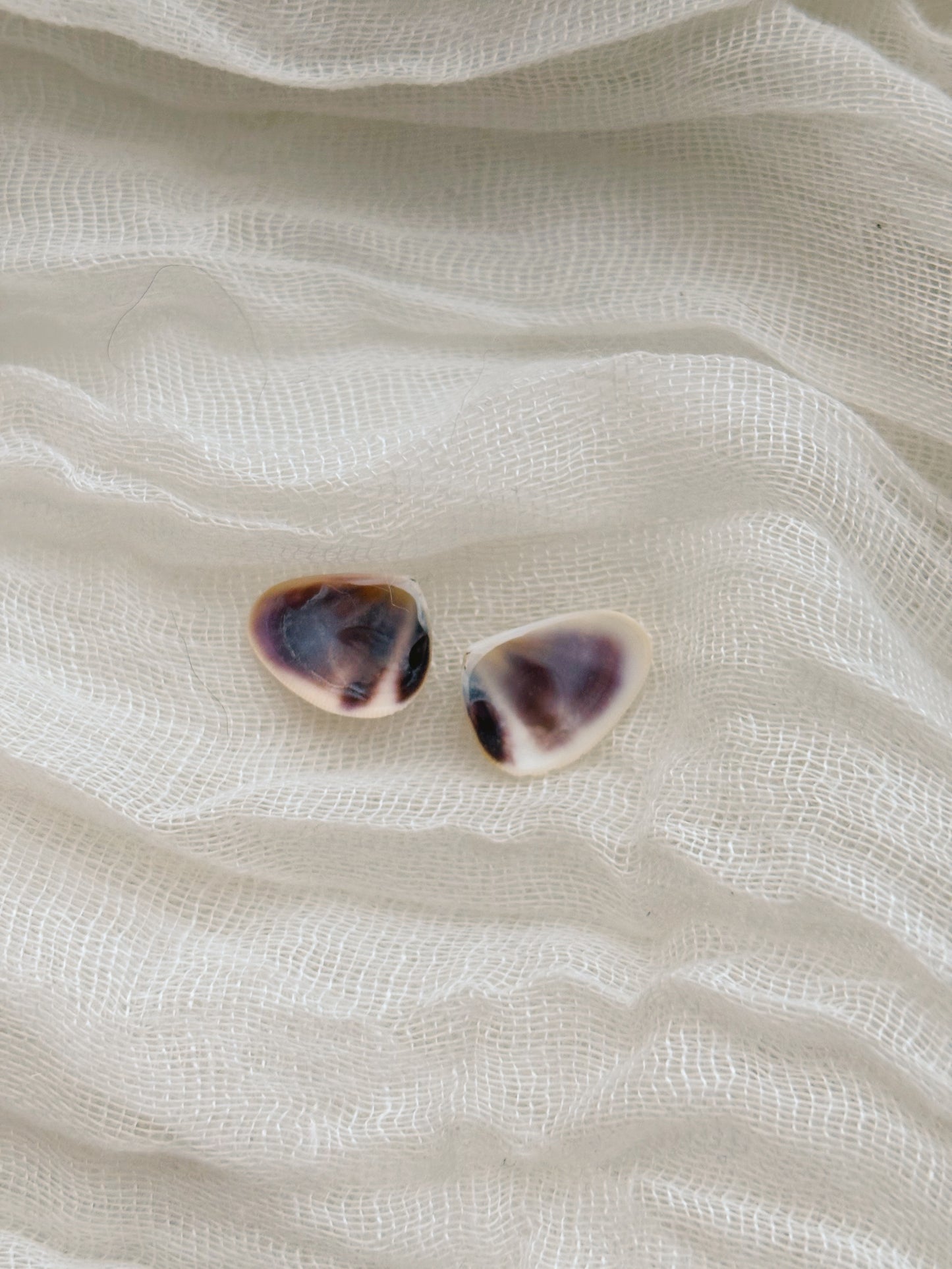 18k Gold natural shell ring tarnish free handmade