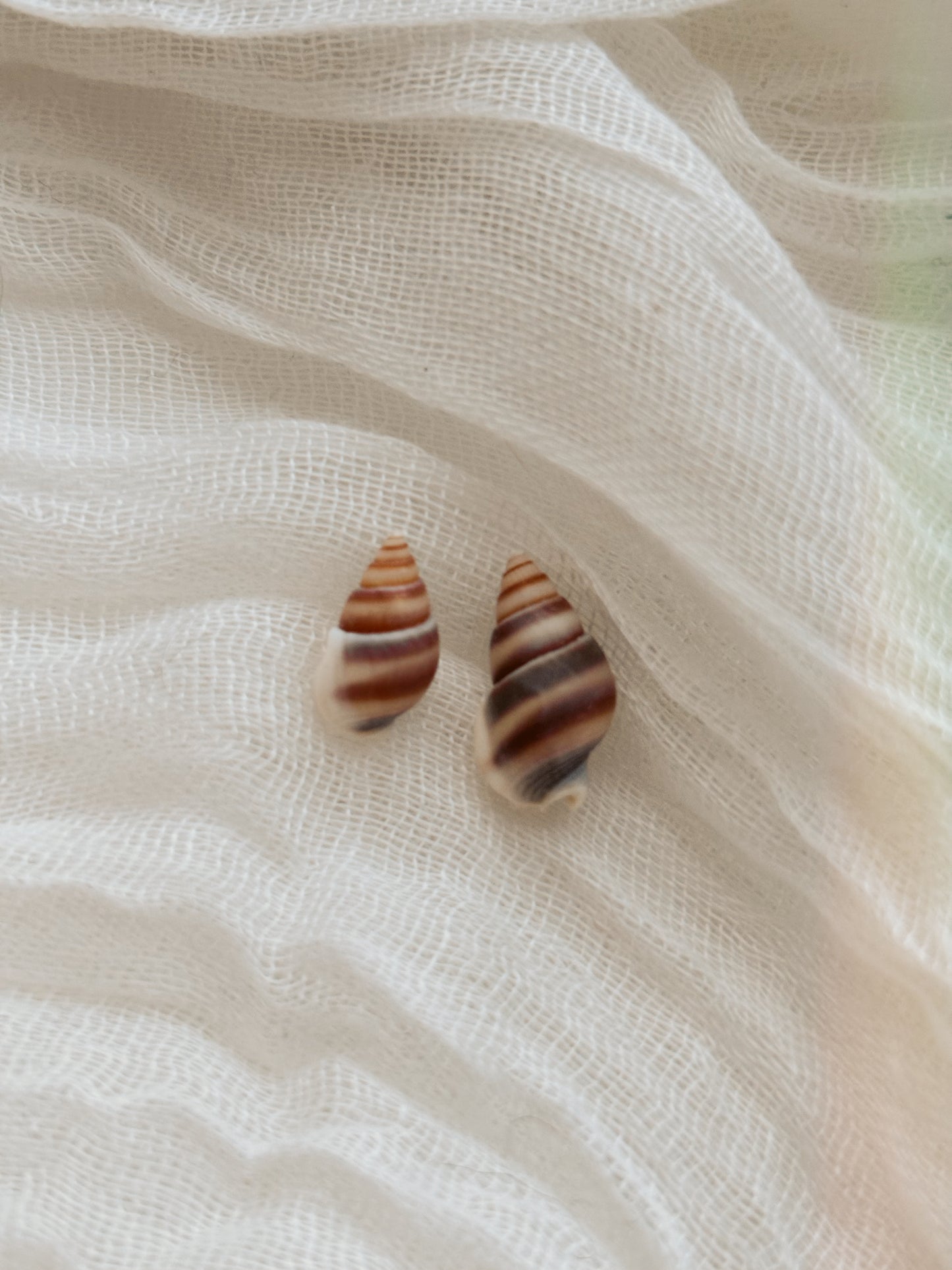 18k Gold natural shell ring tarnish free handmade