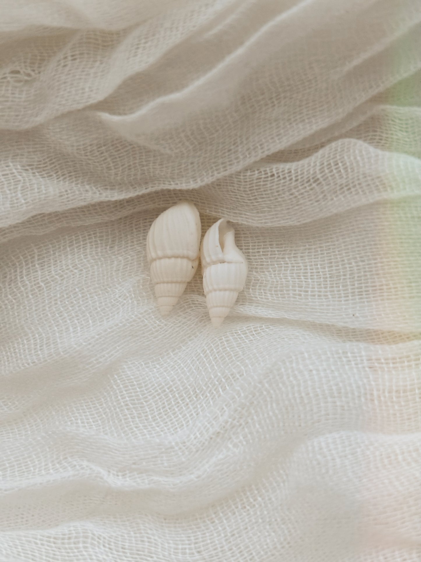 18k Gold natural shell ring tarnish free handmade