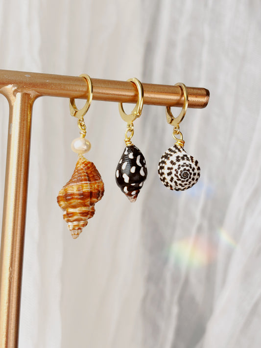 Natural Shell earrings - tarnish free silver & gold